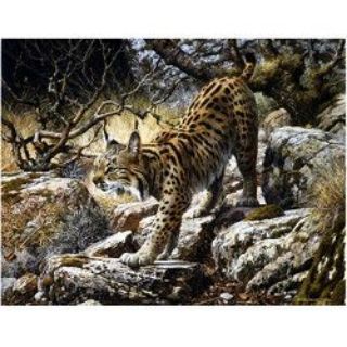 Obrázek z Magnet 3D 7x9cm - rys (25) 